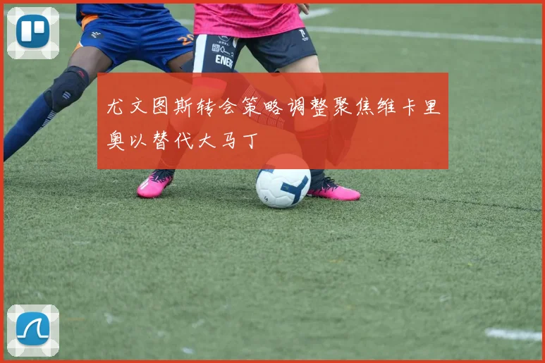 尤文图斯转会策略调整聚焦维卡里奥以替代大马丁