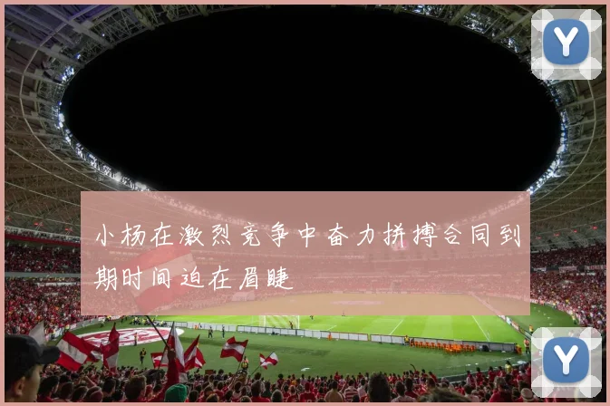 小杨在激烈竞争中奋力拼搏合同到期时间迫在眉睫