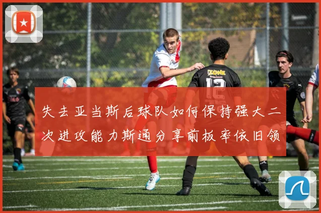 失去亚当斯后球队如何保持强大二次进攻能力斯通分享前板率依旧领先的秘诀