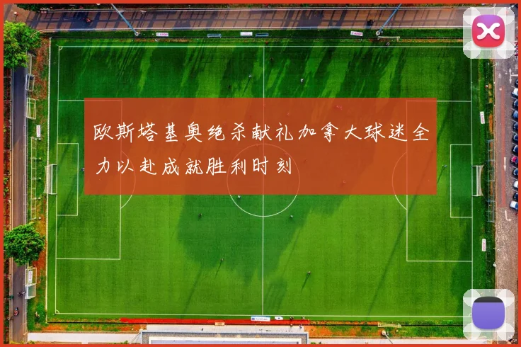 欧斯塔基奥绝杀献礼加拿大球迷全力以赴成就胜利时刻